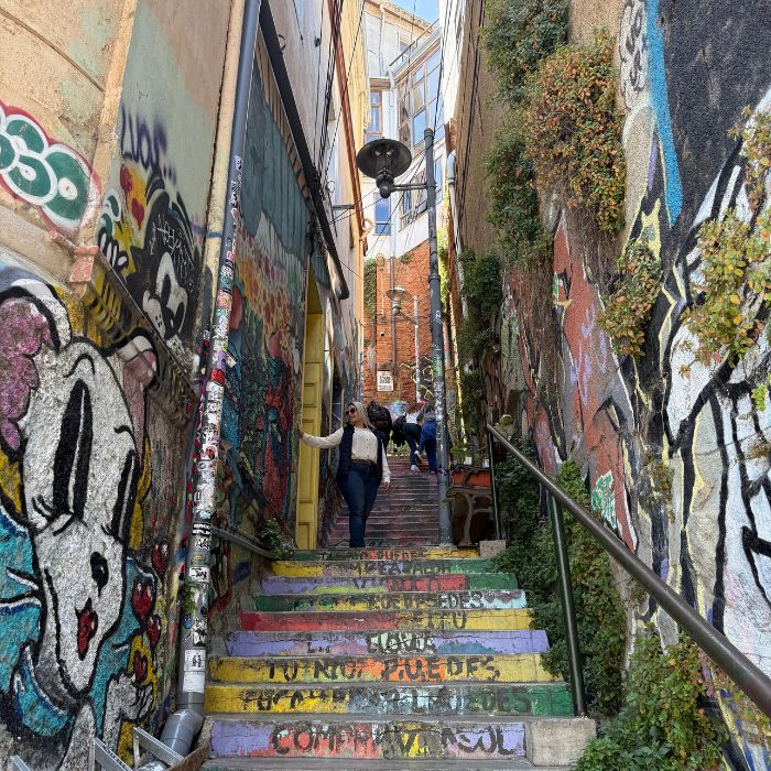 Tour Valparaíso e Viña del Mar